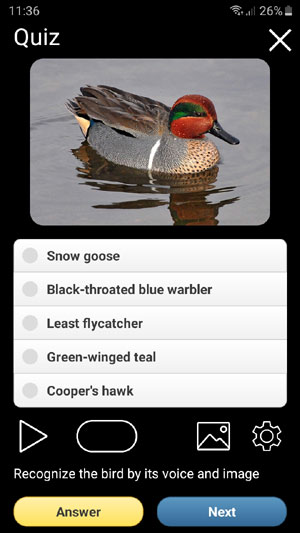 Mobile field Guide app Birds of North America: Songs, Calls and Decoys - Quiz for bird calls identification