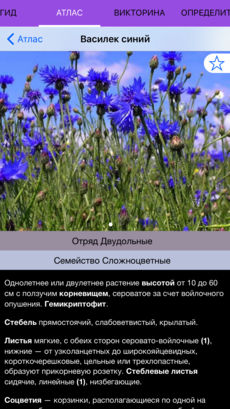 Полевой атлас-определитель травянистых растений (цветов) для iPhone и iPad от Apple - описание вида