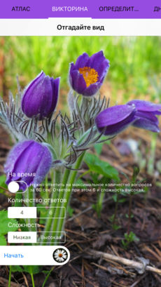 Полевой атлас-определитель травянистых растений (цветов) для iPhone и iPad от Apple - Викторина