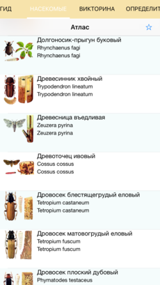 Полевой атлас-определитель насекомых-вредителей лесов России для iPnone и iPad от Apple - главный экран атласа