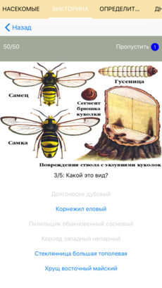 Полевой атлас-определитель насекомых-вредителей лесов России для iPnone и iPad от Apple - викторина