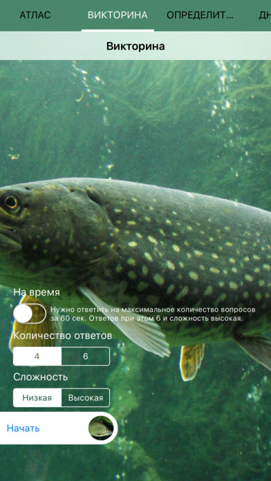 Мобильный полевой атлас-определитель пресноводных и проходных рыб России для iPnone и iPad от Apple