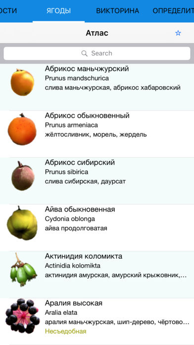 Мобильный полевой атлас-определитель ягод и других дикорастущих сочных плодов России для iPnone и iPad от Apple