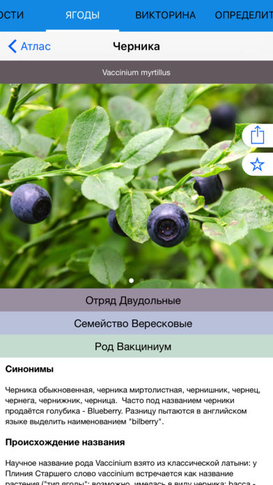 Мобильный полевой атлас-определитель ягод и других дикорастущих сочных плодов России для iPnone и iPad от Apple
