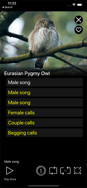 Мобильное приложение Манок на птиц: Птицы Европы - записи голосов и фотографии птиц