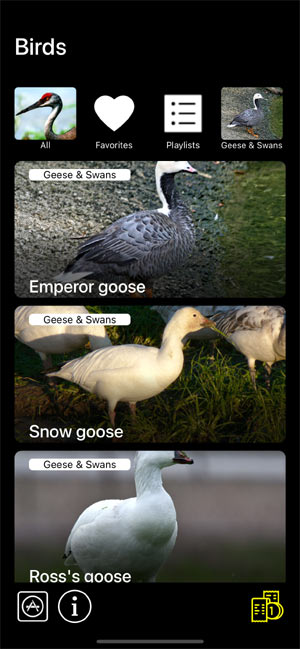 Мобильное приложение Манок на птиц: Птицы Северной Америки - Birds of North America: Decoys - список видов птиц в группе Гуси Geese & Swans