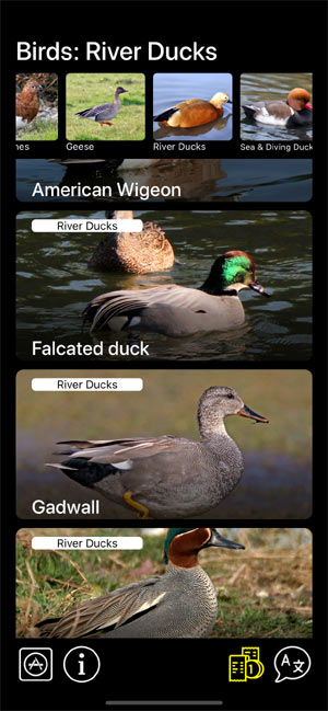 Мобильное приложение Манок на птиц: Птицы Северной Америки - Birds of North America: Decoys - список видов птиц в группе Речные утки River Ducks