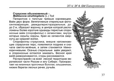 Образец страницы из книги Растения болот: Карманный определитель