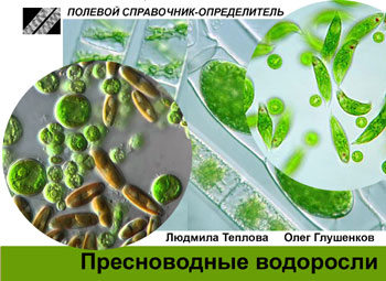 Обложка книги "Пресноводные водоросли: Карманный определитель"