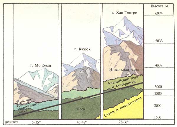 Положение высотных поясов в разных широтах
