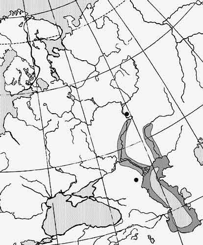 Сельдь каспийская проходная — Alosa kessleri: карта ареала (область распространения)