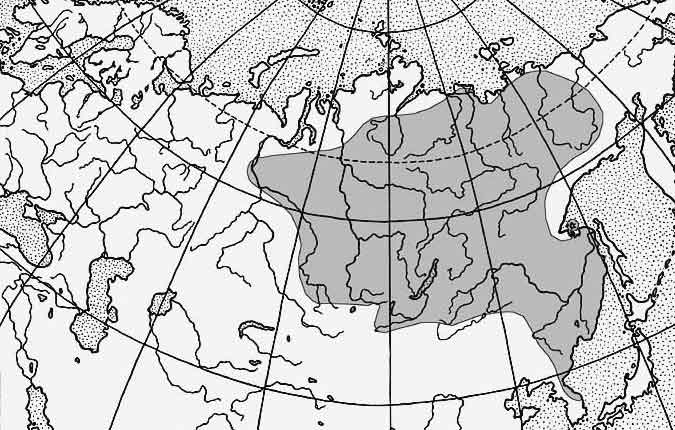 Ленок — Brachymystax lenok: карта ареала (область распространения)