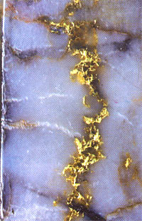 Жилка золота в молочном кварце. Енисей, Советское. Длина прожилки 4 см