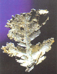 Плоский папоротниковидный дендрит серебра. Длина 8 мм. Восточная Сибирь, Дукат