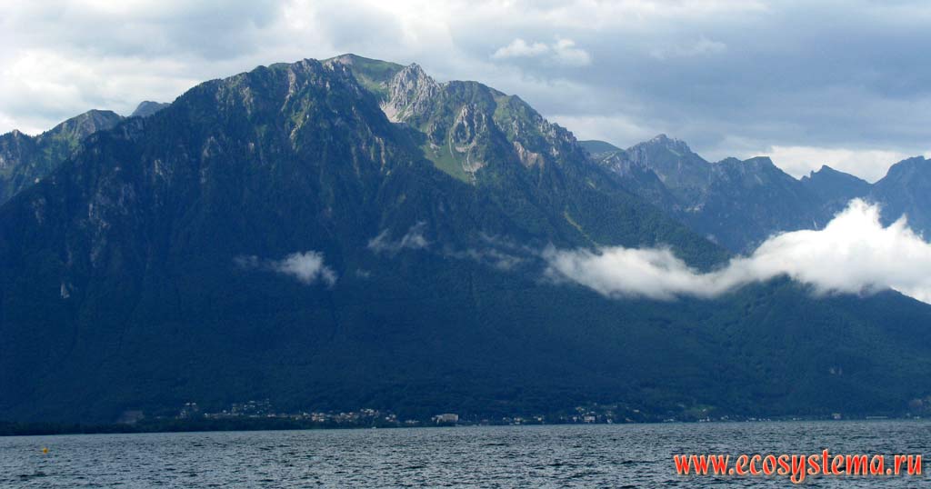 Берега Женевского озера и отроги Западных Альп (высоты вершин ок. 1700 м н.у.м.), покрытые широколиственными лесами и
субальпийскими лугами. Швейцария