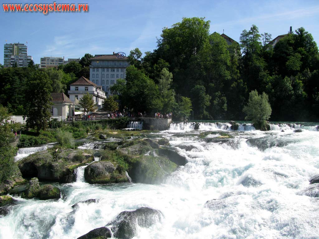 Один из боковых рукавов Рейнского водопада, где река Рейн проходит через пороги, образованные юрскими известняками - крупнейший по объему
стока водопад в Европе (высота 23, ширина 150 м, расход воды до 700 м3/сек), г.Нойхаузен, кантон Шаффхаузен, Швейцария на границе с Германией