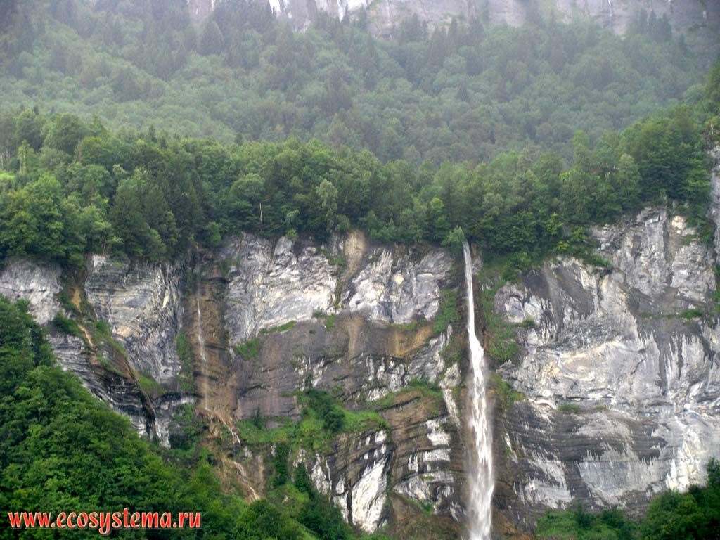 Небольшие водопады, стекающие с абразионных уступов (клифов) известняковых гор, поросших смешанными лесами, в предгорьях Западных Альп.