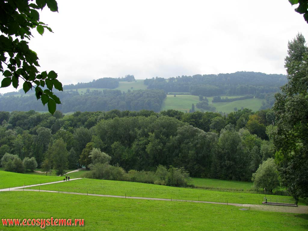 Естественно-антропогенный ландшафт: участки широколиственных лесов перемежаются с лугами-выпасами. Швейцария