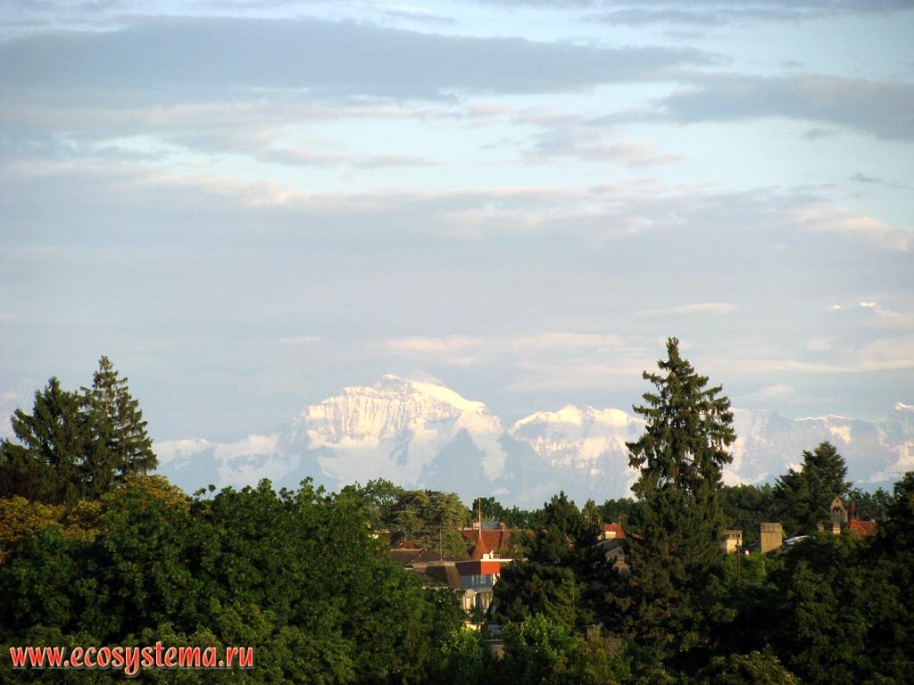 Вид на горный массив Монблан (высоты вершин ок. 4000-4800 м н.у.м.) и Савойские Альпы (один их хребтов Западных Альп) из Швейцарии