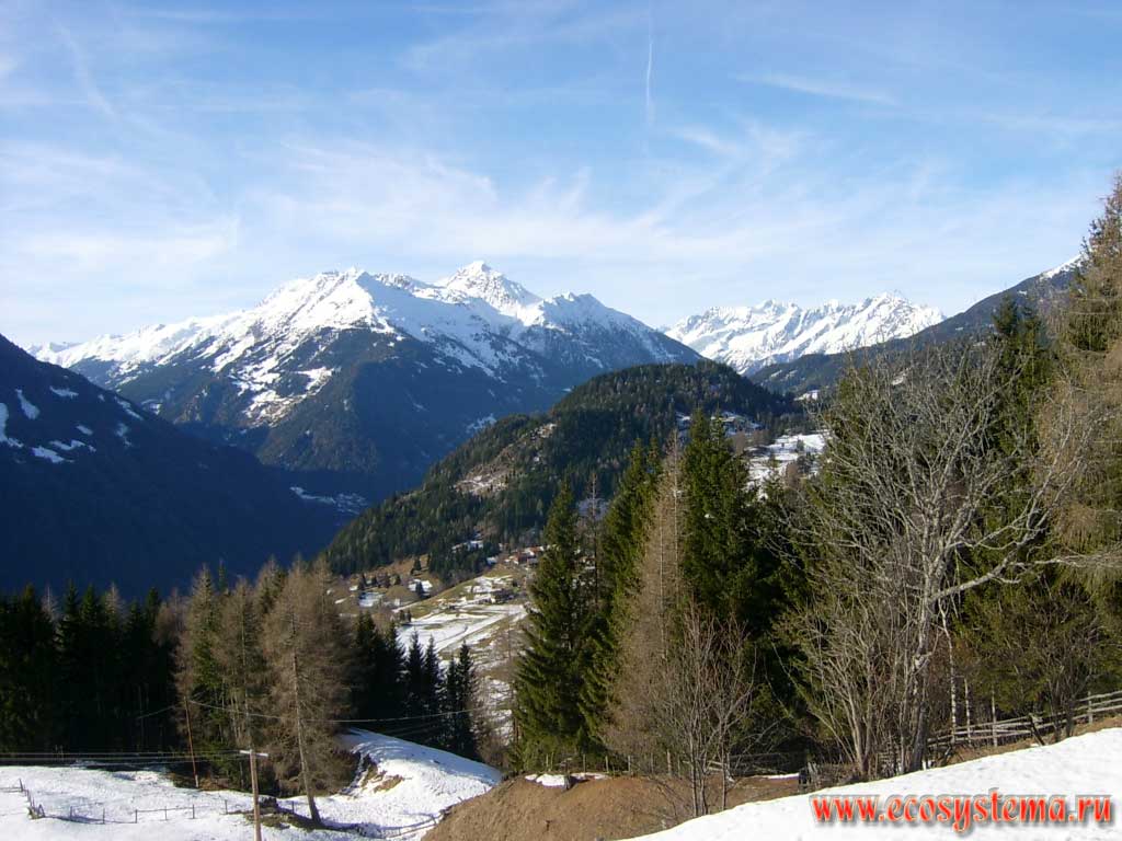 Вид на горный массив Высокий Тауэрн (Hohe Tauern), гору Гроссглокнер (Grossglockner, справа вдали) - высочайшую вершину Австрии и Восточных Альп (высота 3798 м) и гору Гроссвенедигер (Grossvenediger, 3674 м, по центру) с южного макросклона. Окрестности деревни Айнет (Ainet), национальный парк Высокий Тауэрн (Hohe Tauern National Park), земля Тироль, южная Австрия