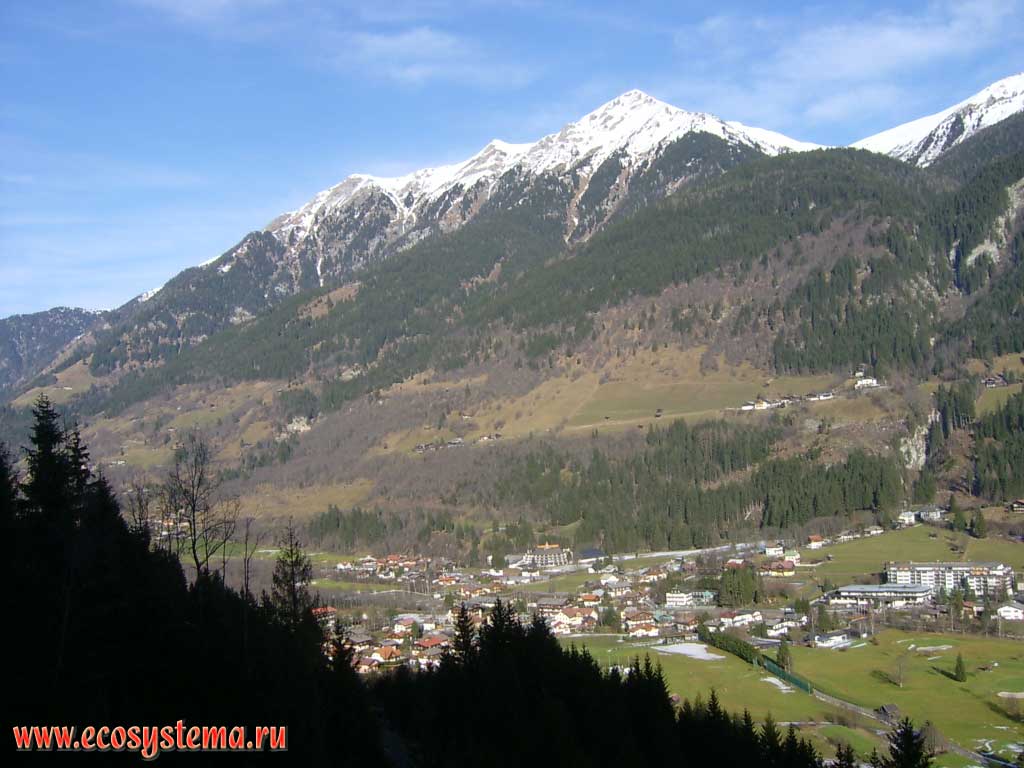 Altitudinal zonation on the northern slope of the Hohe Tauern mountain massif: broad-leaved forests are replaced by dark coniferous forests and subalpine meadows, passing into nival belt (on top). View of the city Badgastein, the altitude of the valley is about 1000 m above sea level, the tops - 2700 m. Salzburg, Southern Austria