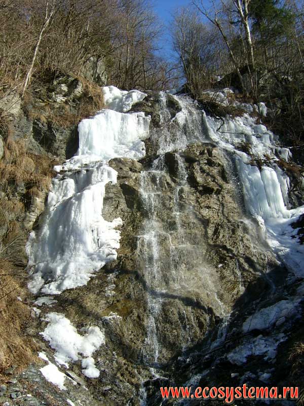 Frozen waterfall surrounded by small-leaved forests on the slopes of the Hohe Tauern mountain range, at an altitude of 1900 m above sea level. Salzburg, Southern Austria
