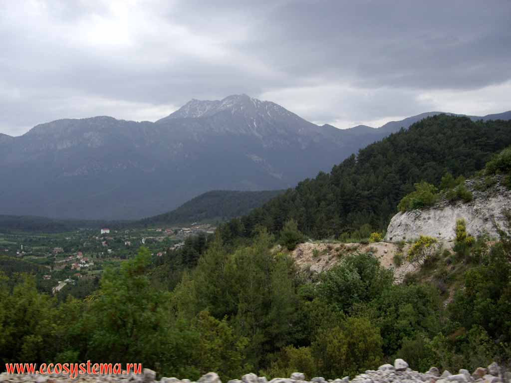 Tavr mountain system (Asia minor plateau, south Turkey).
The zone of mixed and coniferous forests. Height -1200 m above the sea level