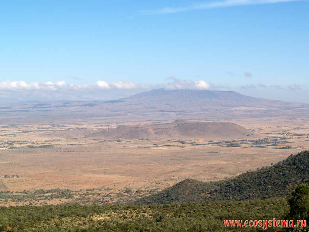 Sahel - the semi-desert at the border between desert and savanna.
The northern part of Serengety plain.
Kenya, the region between Nairobi and Masai Mara National park 