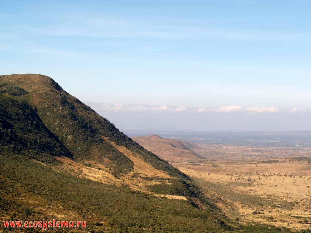Сахель - полупустыня на границе между пустыней и саванной.
Северная часть равнины Серенгети.
Кения, участок между Найроби в национальным парком Масаи Мара.
Восточно-Африканское нагорье
