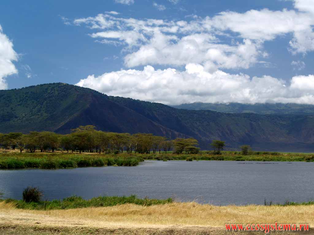 Озеро Магади на дне кальдеры (древнего кратера вулкана) Нгоронгоро.
Танзания, Восточно-Африканское нагорье