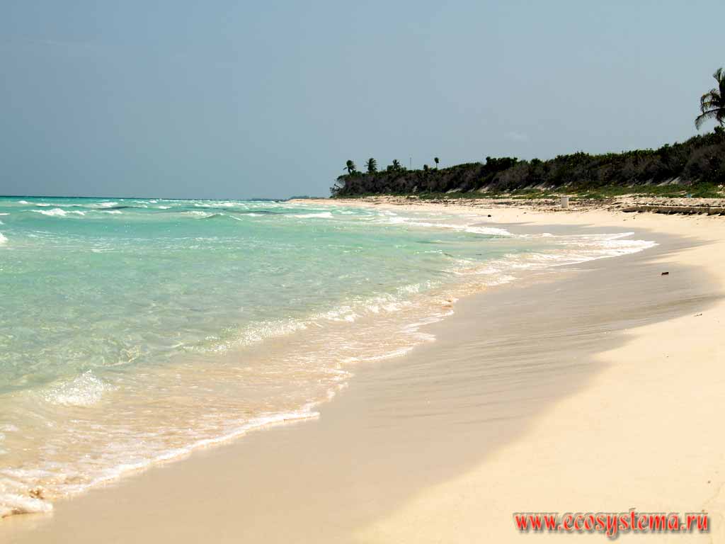Песчаный пляж на берегу Карибского моря.
Полуостров Юкатан, Тулум, штат Кинтана Роо