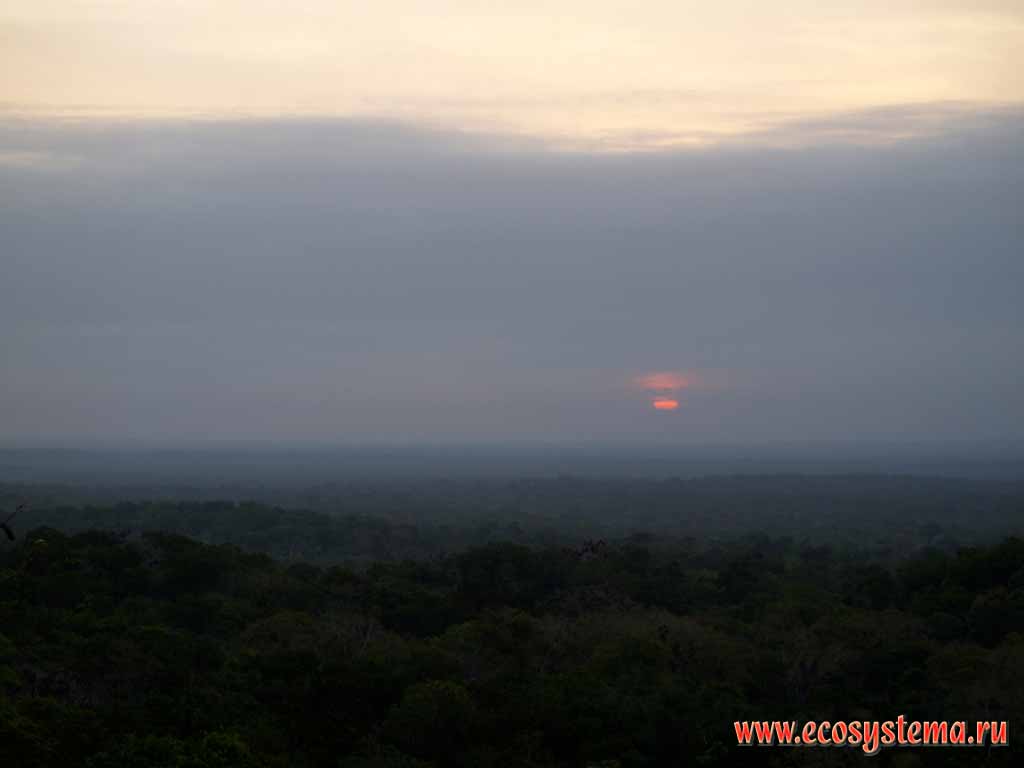 Закат над тропическим лесом (джунглями).
Национальный парк Тикаль, провинция Эль-Петен, Гватемала