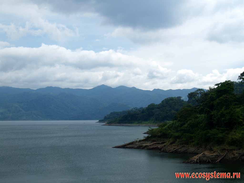 Arenal lake and Cordilleras - the mountains of Antil-Carrabian chine.
Arenal National park, Isthmus of Panama
