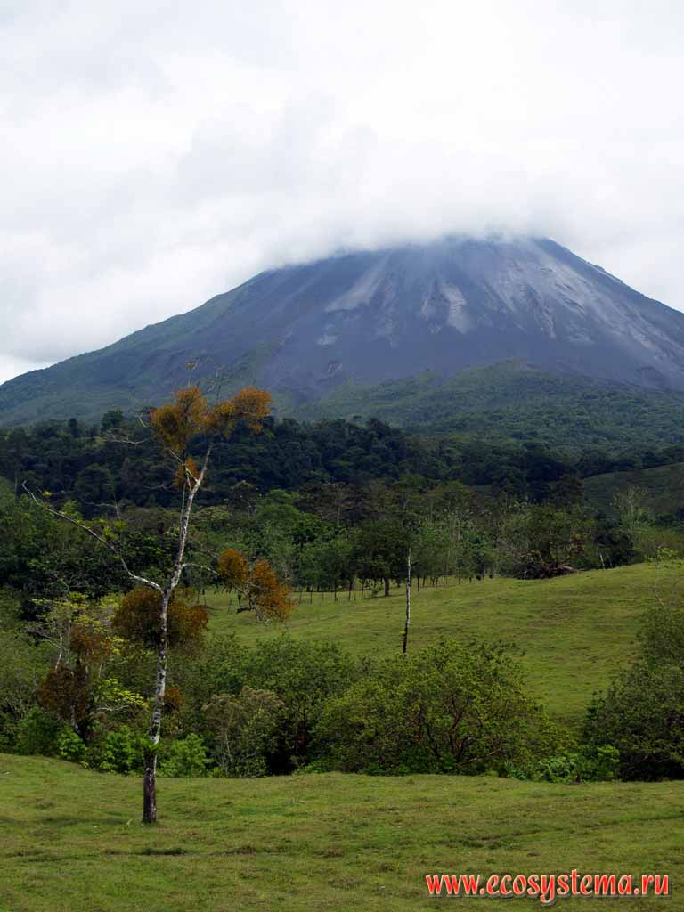 Humid tropic forest and pasture meadows near the
downhill of Arenal volcano (1657 m height).
Arenal National park, Isthmus of Panama