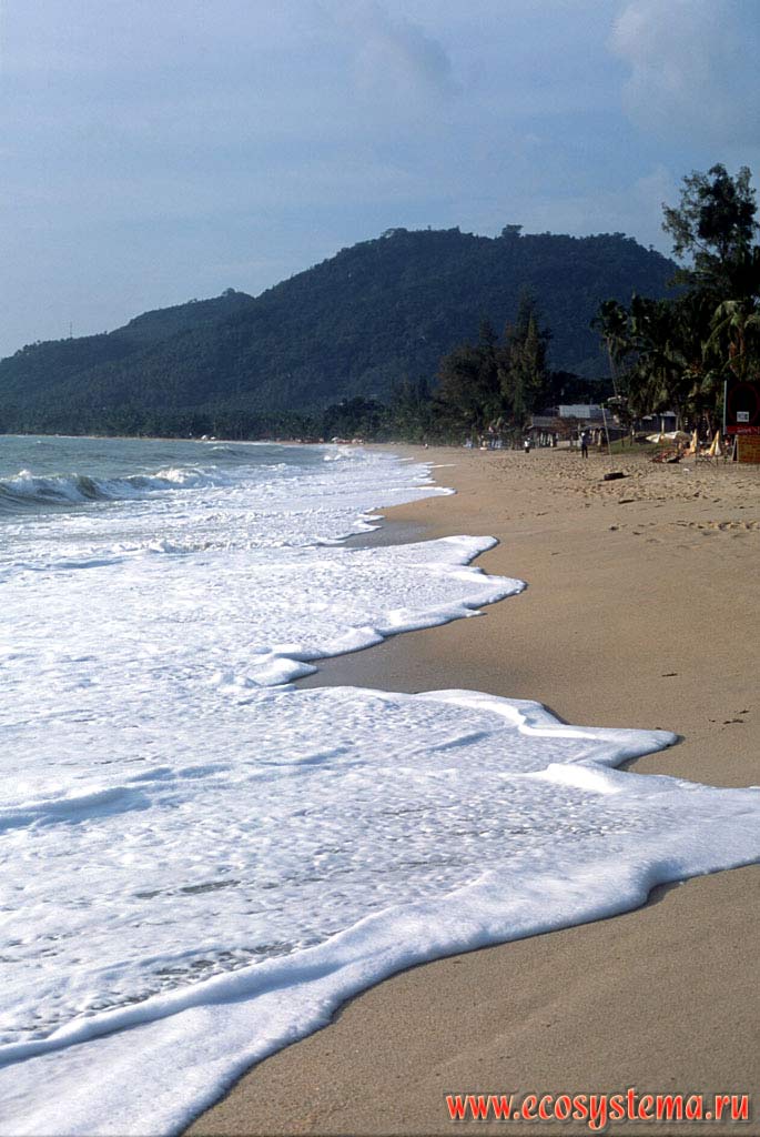 Surf on the sandy beach. Indochinese Peninsula, Thailand