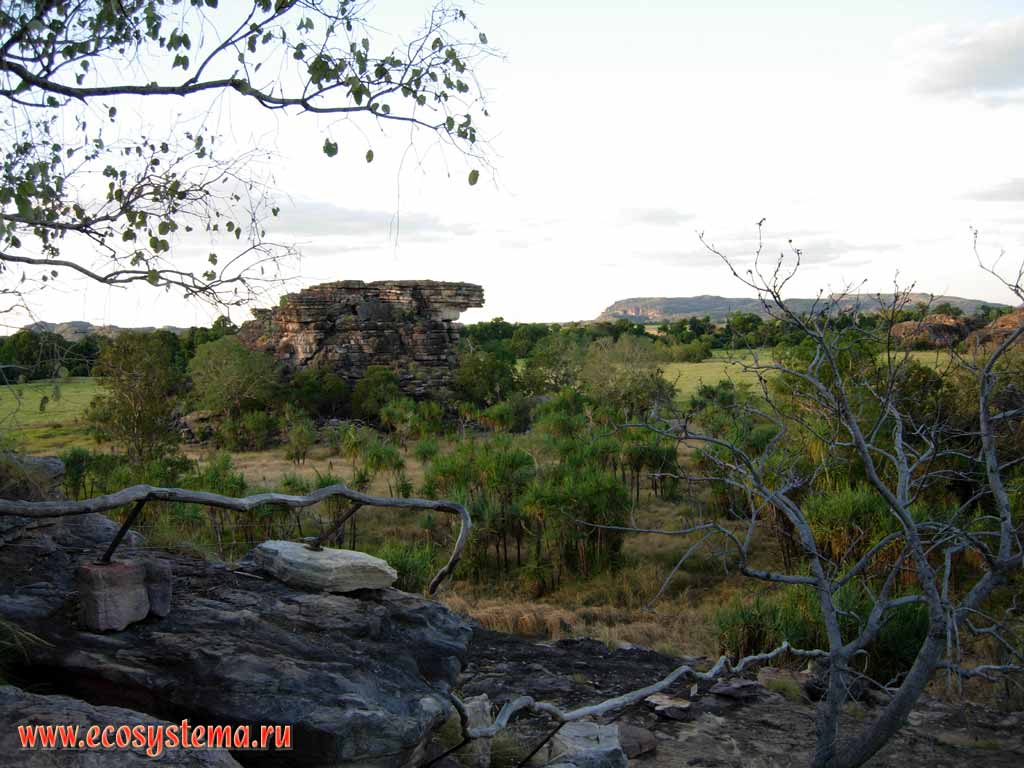 Dolomite outlier rock in savanna. Kakadu National Park. Northern Territory, Australia