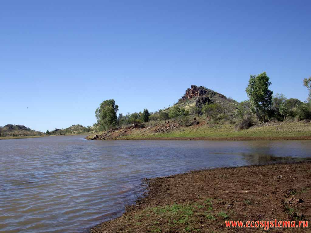 On the bank freshwater pond in savanna. Outskirts of Cloncurry (Queensland). Australia, Northern Territory