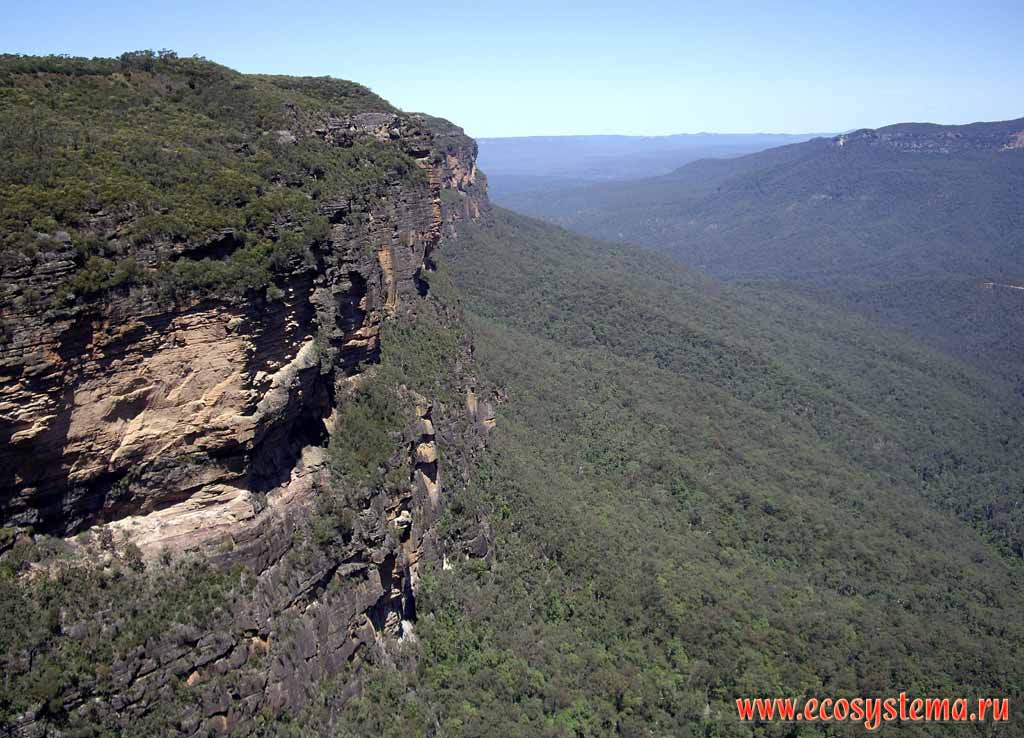 The brink of the mountain sandstone ridge. The Great Dividing Range. "Blue Mountains" National Park. Altitude - 1000 meters above sea level. Sydney area, New South Wales, Australia