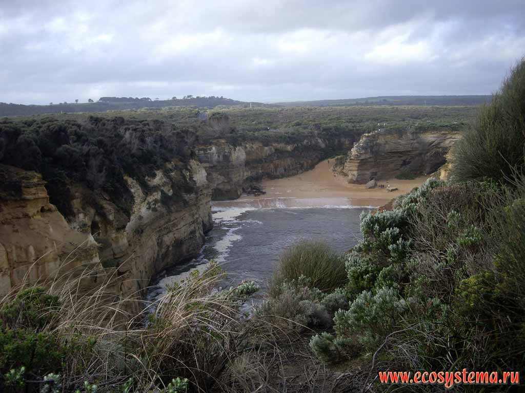 The scarp - coastal cliff formed by the surf and sandy beach. Bass Strait, separating Tasmania from the south of the Australian mainland. Great Ocean Road. Melbourne area, Victoria, Australia