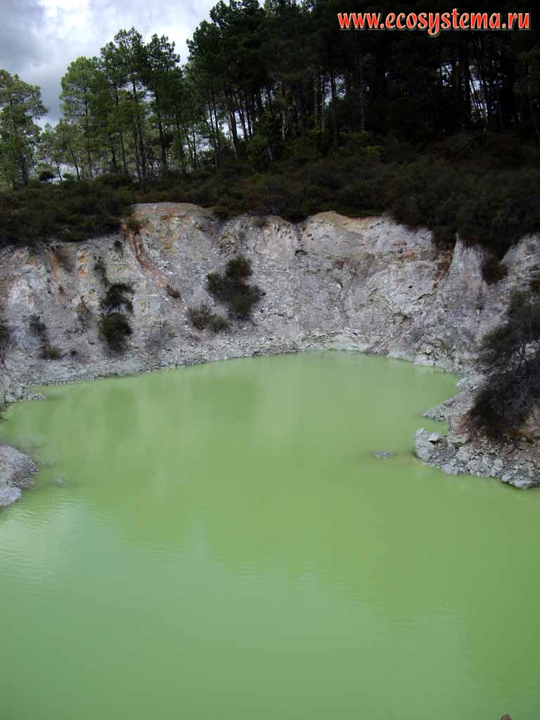 Гейзерное озеро Купальня дьявола (Devil's Bath). Вода содержит соли
серы и железа (регион Бей-оф-Пленти, округ Роторуа, север острова)