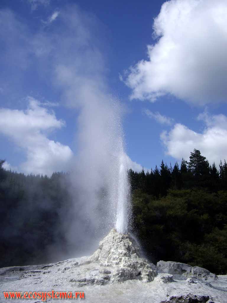 Lady Knox geyser during the eruption.
The Bay of Plenty region, Rotorua District, North Island, New Zealand