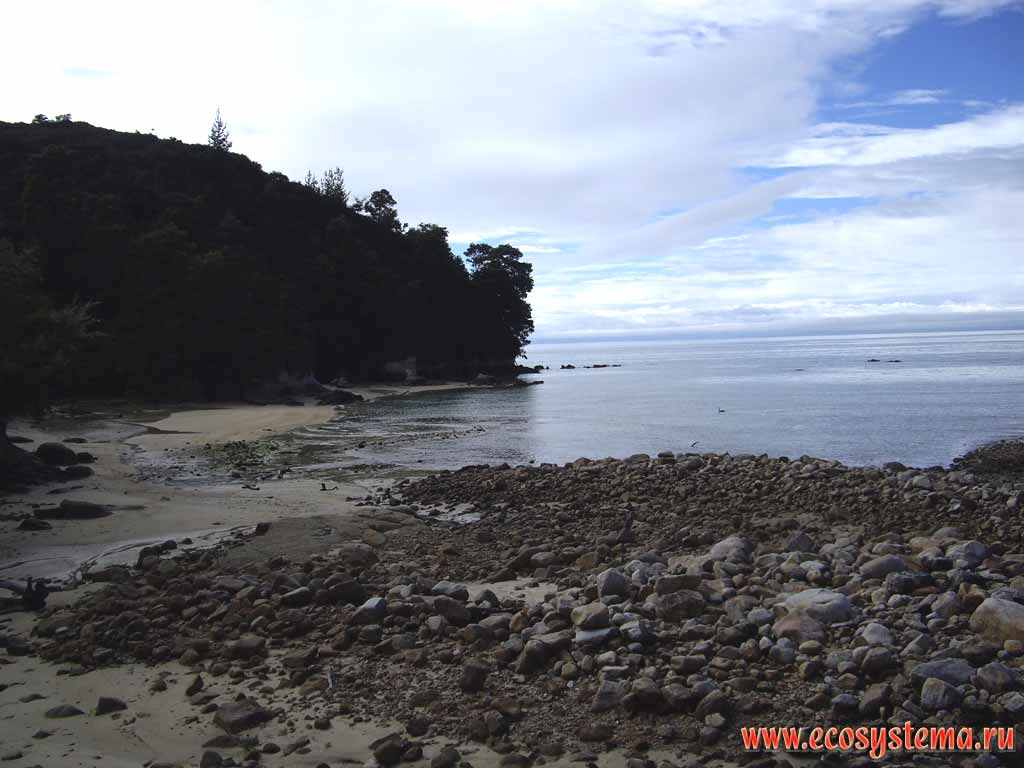 Песчано-каменистый пляж. Залив. Берег Тасманова моря.
Национальный парк Абеля Тасмана,
Тасманово море (север Южного острова)