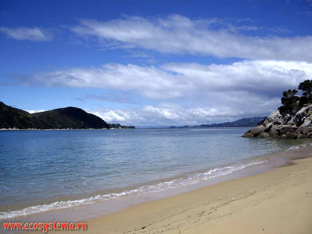 Sandy beach on the shore of Tasman Sea.
Abel Tasman National Park, Tasman Sea.
Nelson region, northern part of the South Island, New Zealand