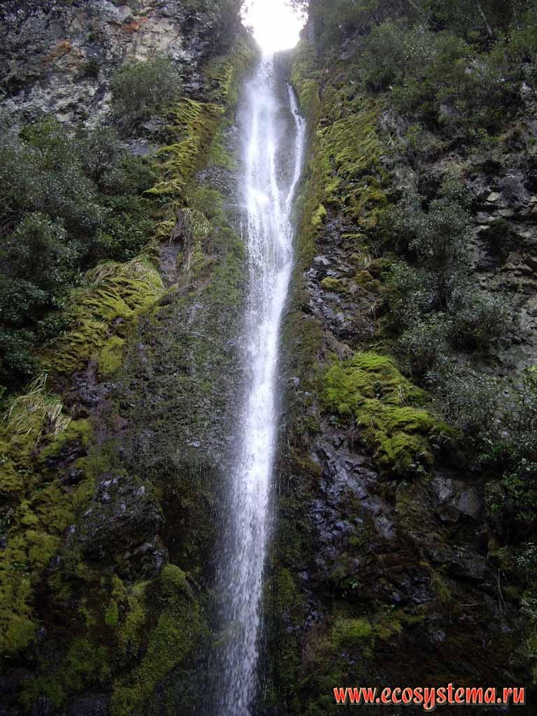 Водопад на Собачьем ручье (Dog Stream Waterfall) в зоне
широколиственных лесов. Высота - 700 м над уровнем моря.
Район Ханмер Спрингс (регион Кентербери, восток Южного острова)