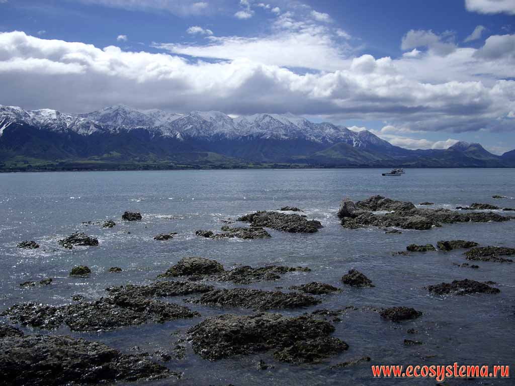 The scarp - undulating (wave) erosion zone. Pacific ocean coast.
Kaikoura district, Canterbury region, north-eastern part of the South Island, New Zealand
