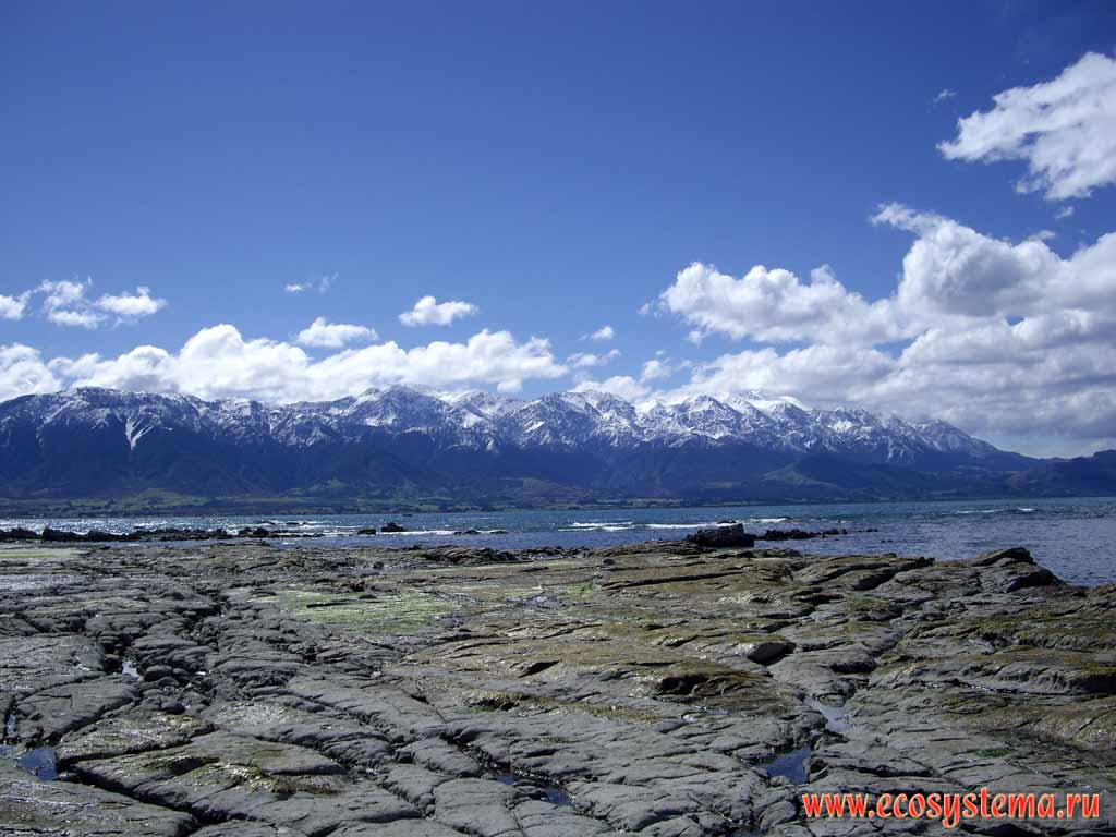 The scarp - undulating (wave) erosion zone. Pacific ocean coast.
Kaikoura district, Canterbury region, north-eastern part of the South Island, New Zealand