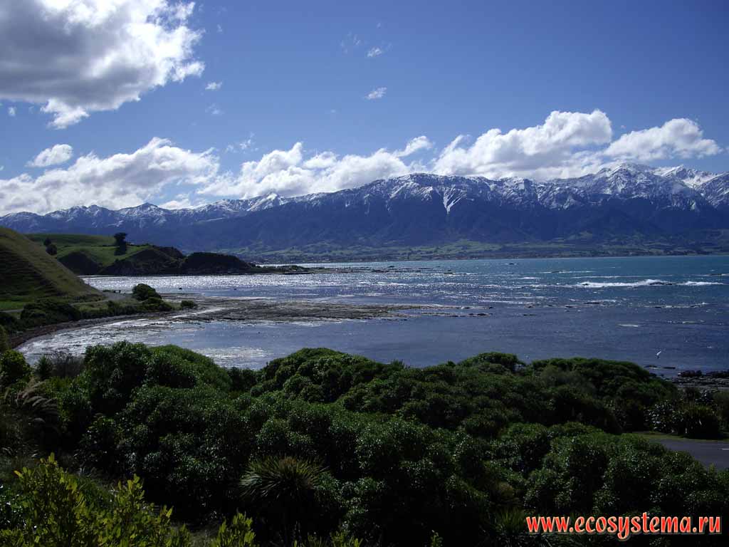Undulating (wave) erosion zone in the Kaikoura Bay.
Kaikoura district, Canterbury region, north-eastern part of the South Island, New Zealand