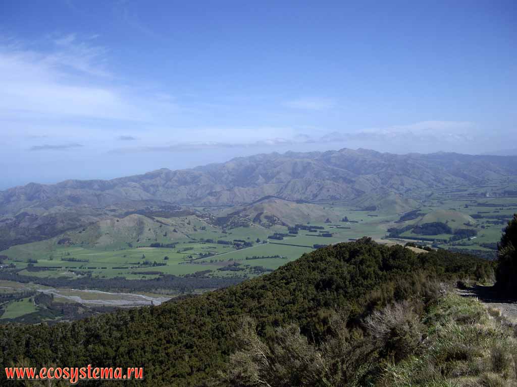 View to the Kaikoura valley. 800 meters above sea level.
Kaikoura district, Canterbury region, north-eastern part of the South Island, New Zealand