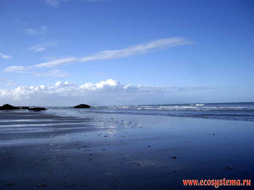 Песчаный пляж на берегу Тихого океана в районе Барнетт парк,
Крайстчёрч (Кристчёрч) (регион Кентербери,
восточное побережье Южного острова)