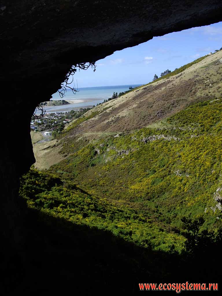 Hill slope covered with xerophyte vegetation (view from the grotto).
Barnett Park, Christchurch area, Canterbury region, eastern part of the South Island, New Zealand